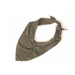 BW Dreiecktuch oliv (gebr.)